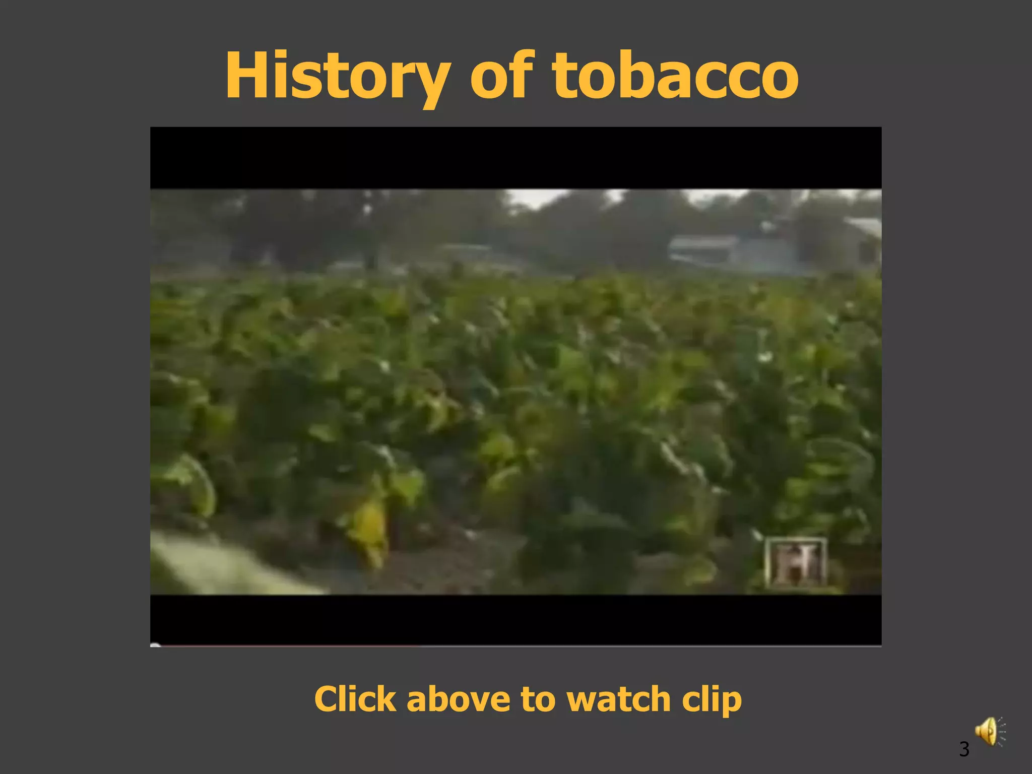 History of tobacco




  Click above to watch clip
                              3
 