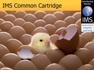 IMS Common Cartridge
 