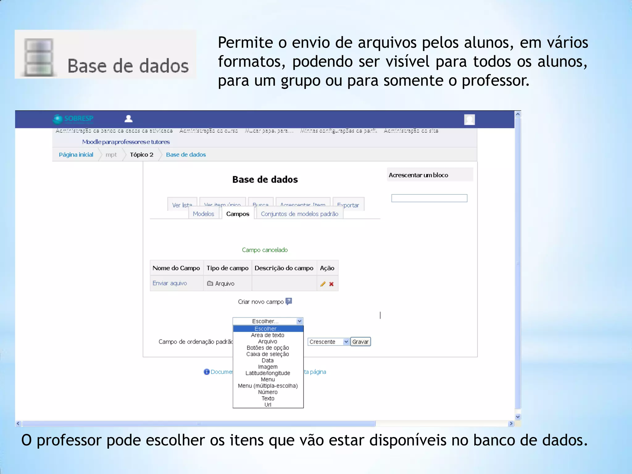 Permite o envio de arquivos pelos alunos, em vários
formatos, podendo ser visível para todos os alunos,
para um grupo ou para somente o professor.
O professor pode escolher os itens que vão estar disponíveis no banco de dados.
 