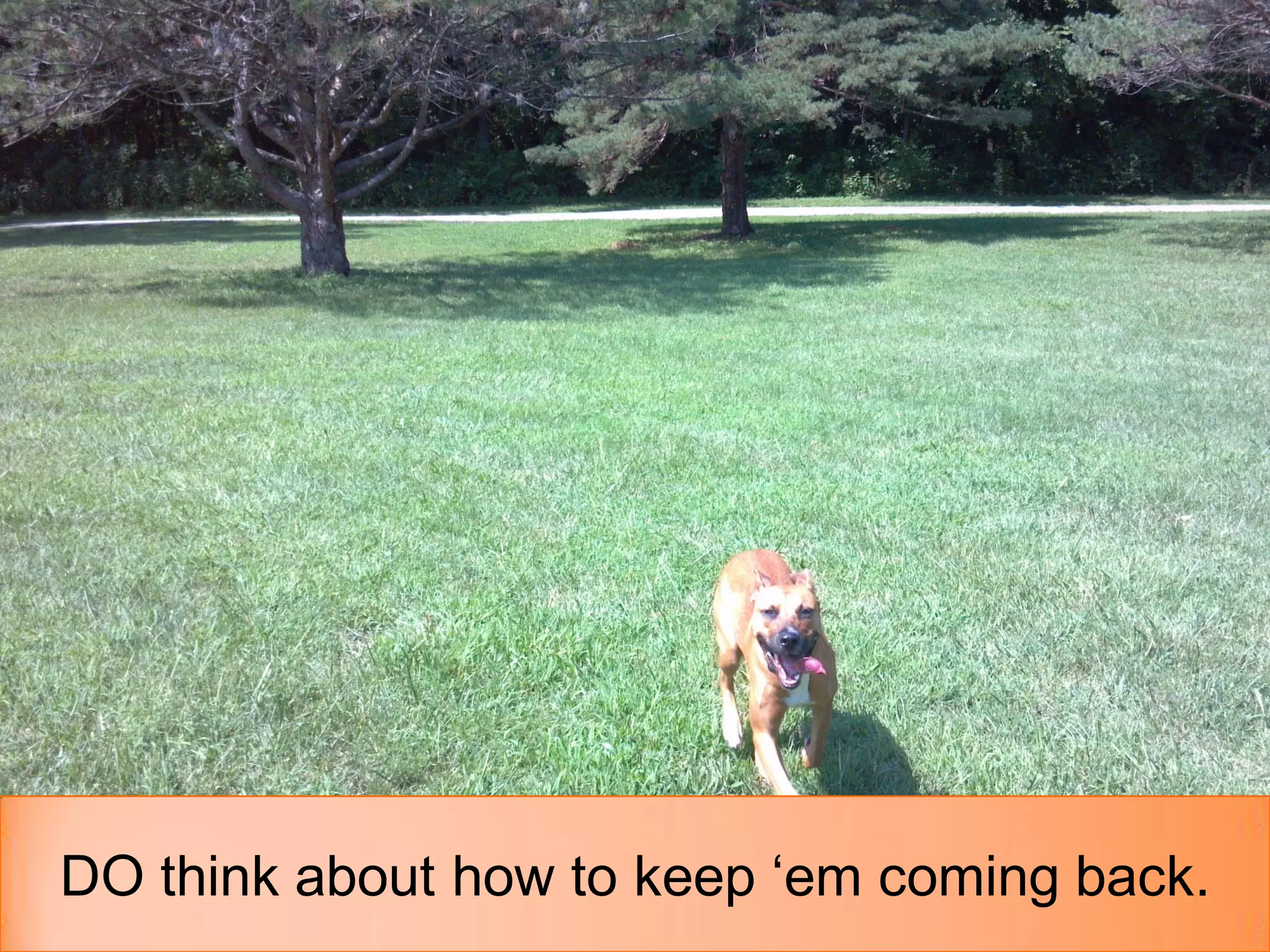 DO think about how to keep ‘em coming back.
 