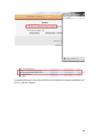 Lo que podríamos hacer sería subir ese fichero en otro moodle en la carpeta moodledata en el
curso 1… y de ahí.. restaurar




                                                                                         318
 