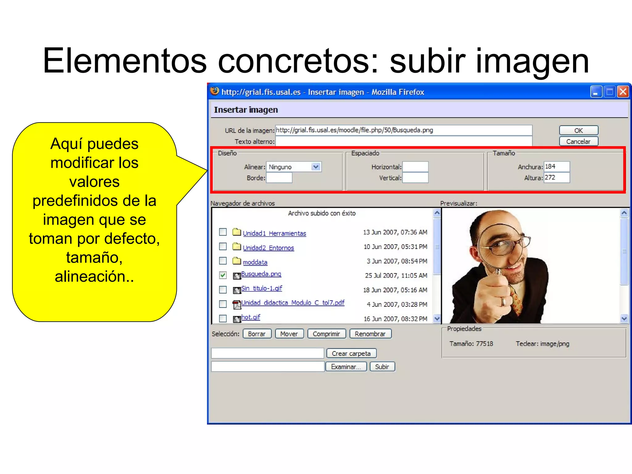 Elementos concretos: subir imagen Aquí puedes modificar los valores predefinidos de la imagen que se toman por defecto, tamaño, alineación.. 