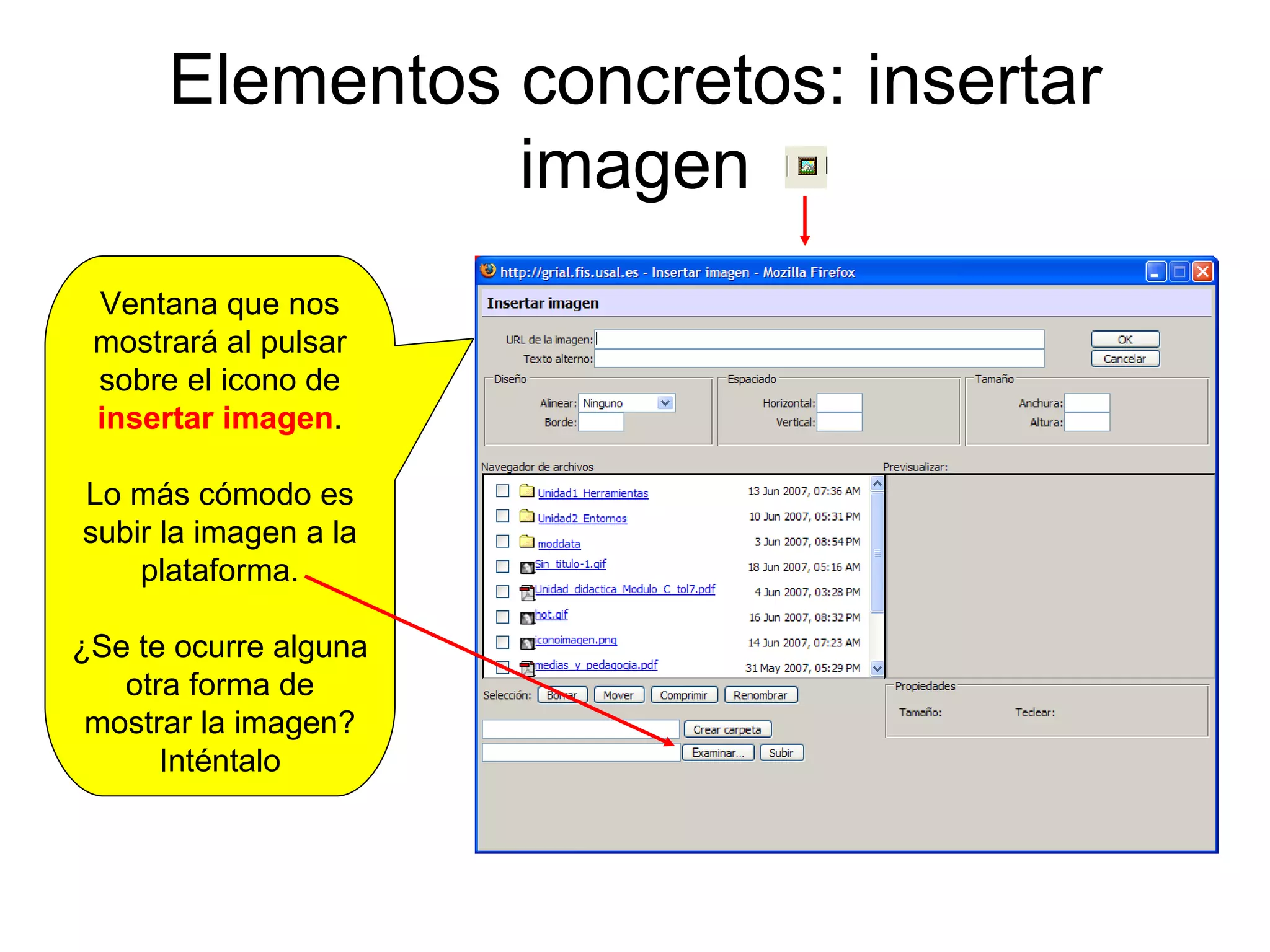 Elementos concretos: insertar imagen Ventana que nos mostrará al pulsar sobre el icono de  insertar imagen . Lo más cómodo es subir la imagen a la plataforma. ¿Se te ocurre alguna otra forma de mostrar la imagen? Inténtalo 
