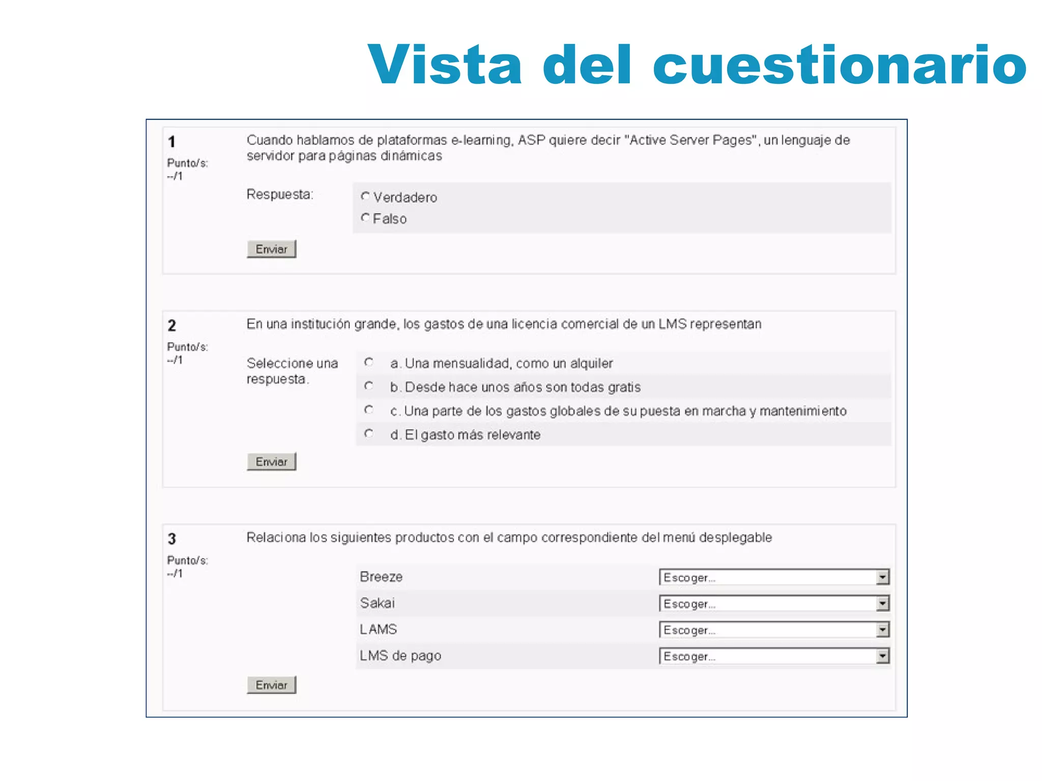 Vista del cuestionario 