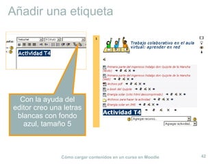 Cómo cargar contenidos en un curso en Moodle 42
Añadir una etiqueta
Con la ayuda del
editor creo una letras
blancas con fondo
azul, tamaño 5
 