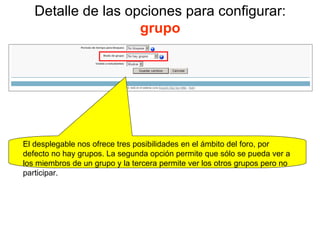 Detalle de las opciones para configurar:  grupo El desplegable nos ofrece tres posibilidades en el ámbito del foro, por defecto no hay grupos. La segunda opción permite que sólo se pueda ver a los miembros de un grupo y la tercera permite ver los otros grupos pero no participar.  
