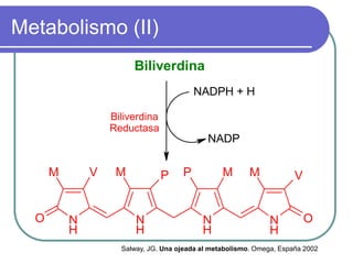 Metabolismo (II)
                       Biliverdina
                                         NADPH + H

                  Biliverdina
                  Reductasa
                                             NADP

      M       V    M            P    P           M       M            V


  O       N             N                  N                   N          O
          H             H                  H                   H
                    Salway, JG. Una ojeada al metabolismo. Omega, España 2002
 