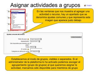 Asignar actividades a gruposEn las ventanas que nos muestra al agregar una actividad o recurso, hay un apartado que se denomina ajustes comunes y que representa esta imagen que aparece justo debajoEstablecemos el modo de grupos, visibles o separados. Si el administrador de la plataforma lo ha activado podemos escoger el agrupamiento (grupo de grupos) al que queremos asignar la actividad, marcamos sólo disponible para miembros de grupo