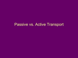Passive vs. Active Transport
 