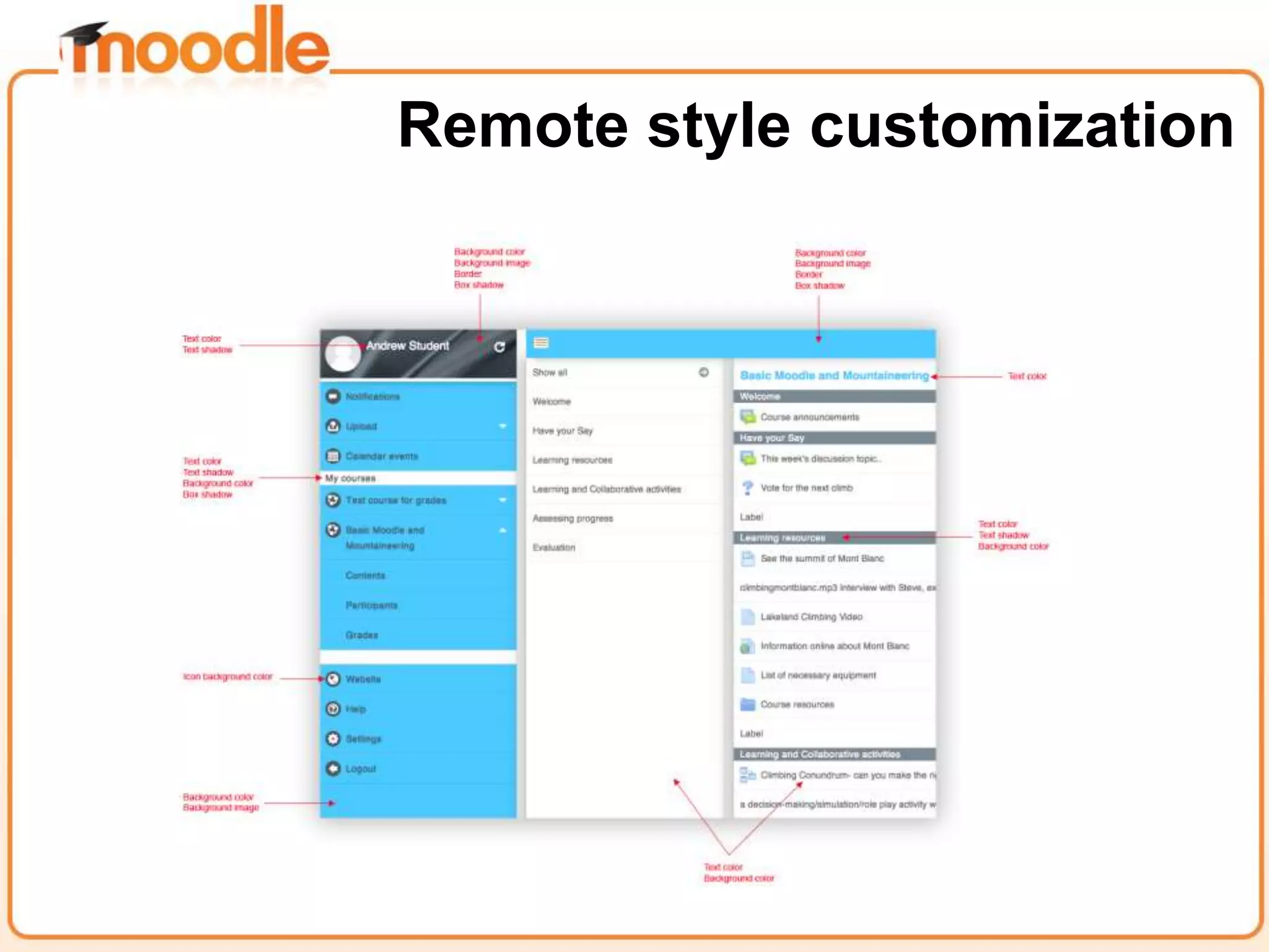 Remote style customization
 
