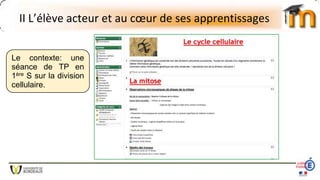 II L’élève acteur et au cœur de ses apprentissages
Le contexte: une
séance de TP en
1ère S sur la division
cellulaire.
 