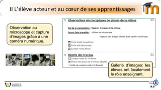 II L’élève acteur et au cœur de ses apprentissages
Observation au
microscope et capture
d’images grâce à une
caméra numérique.
Galerie d’images: les
élèves ont localement
le rôle enseignant.
 