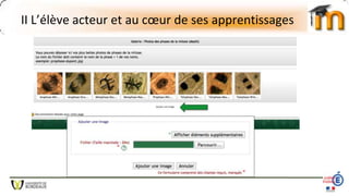 II L’élève acteur et au cœur de ses apprentissages
 