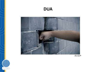 DUA
 
