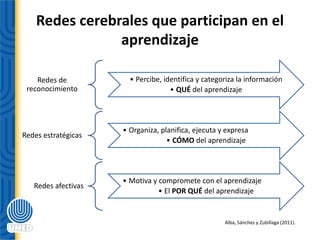Redes cerebrales que participan en el
aprendizaje
Redes de
reconocimiento
• Percibe, identifica y categoriza la información
• QUÉ del aprendizaje
Redes estratégicas
• Organiza, planifica, ejecuta y expresa
• CÓMO del aprendizaje
Redes afectivas
• Motiva y compromete con el aprendizaje
• El POR QUÉ del aprendizaje
Alba, Sánchez y Zubillaga (2011).
 