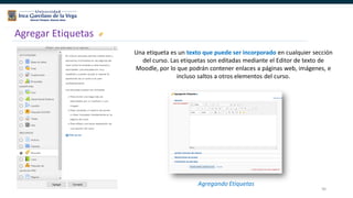 95
Agregar Etiquetas
Agregando Etiquetas
Una etiqueta es un texto que puede ser incorporado en cualquier sección
del curso. Las etiquetas son editadas mediante el Editor de texto de
Moodle, por lo que podrán contener enlaces a páginas web, imágenes, e
incluso saltos a otros elementos del curso.
 