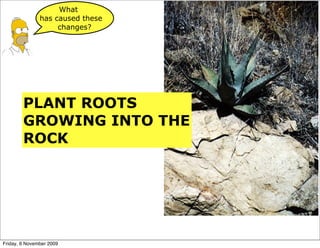 What
               has caused these
                    changes?




        PLANT ROOTS
        GROWING INTO THE
        ROCK




Friday, 6 November 2009
 