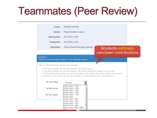 Teammates (Peer Review)
 