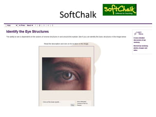 SoftChalk
 