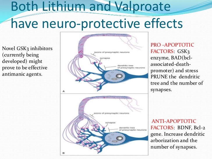 Theophylline Side Effects In Adults