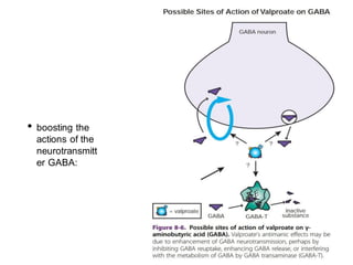• boosting the
actions of the
neurotransmitt
er GABA:
 