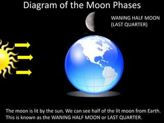 Diagram of the Moon Phases
WANING HALF MOON
(LAST QUARTER)

The moon is lit by the sun. We can see half of the lit moon from Earth.
This is known as the WANING HALF MOON or LAST QUARTER.

 