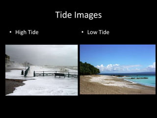 Tide Images
• High Tide

• Low Tide

 