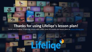 Thanks for using Lifeliqe's lesson plan!
Excite your students in learning science with 1,000+ more 3D models and lesson plans at online.lifeliqe.com
 