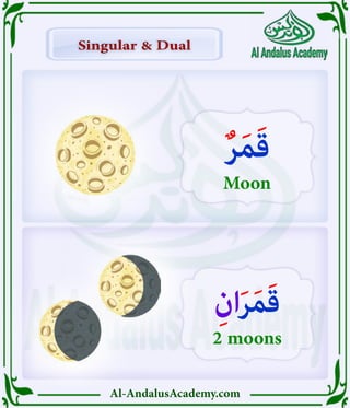 Al-AndalusAcademy.com
Singular & Dual
Singular & Dual
ٌ‫ر‬َ‫م‬َ‫ق‬
Moon
ِ‫ان‬َ‫ر‬َ‫م‬َ‫ق‬
2 moons
 
