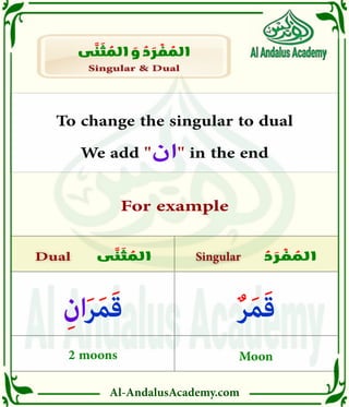 Al-AndalusAcademy.com
ُ
‫د‬ َ
‫ر‬ ْ
‫ف‬ ُ
‫الم‬
‫ى‬ َّ
‫ن‬ َ
‫ث‬ ُ
‫الم‬ Singular
Singular
Dual
Dual
Singular & Dual
Singular & Dual
‫ى‬ َّ
‫ن‬ َ
‫ث‬ ُ
‫الم‬ َ
‫و‬ ُ
‫د‬ َ
‫ر‬ ْ
‫ف‬ ُ
‫الم‬
For example
To change the singular to dual
We add "‫ان‬" in the end
ٌ‫ر‬َ‫م‬َ‫ق‬
Moon
2 moons
ِ‫ان‬َ‫ر‬َ‫م‬َ‫ق‬
 