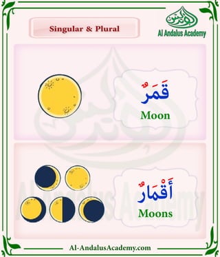 Al-AndalusAcademy.com
Singular & Plural
Singular & Plural
ٌ‫ر‬َ‫م‬َ‫ق‬
Moon
ٌ‫ر‬ َ
‫اَم‬ْ‫ق‬َ‫أ‬
Moons
 