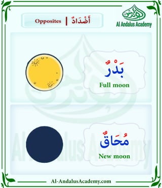 Al-AndalusAcademy.com
Opposites
Opposites ٌ‫د‬‫ا‬َ‫د‬ ْ
‫ض‬َ‫أ‬
ٌ‫د‬‫ا‬َ‫د‬ ْ
‫ض‬َ‫أ‬
|
|
ٌ‫ر‬ْ‫د‬َ‫ب‬
Full moon
ٌ
‫اق‬َ‫ح‬ُ‫م‬
New moon
 