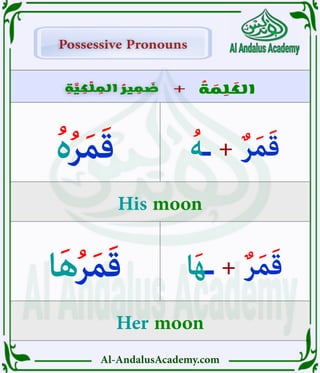 Al-AndalusAcademy.com
ِ
‫ة‬ َّ
‫ي‬ ِ
‫ك‬ ْ
‫ل‬ ِ
‫الم‬ ُ
‫ير‬ ِ
‫م‬ َ
‫ض‬
ِ
‫ة‬ َّ
‫ي‬ ِ
‫ك‬ ْ
‫ل‬ ِ
‫الم‬ ُ
‫ير‬ ِ
‫م‬ َ
‫ض‬ +
+ ُ
‫ة‬ َ
‫م‬ ِ
‫ل‬ َ
‫الك‬
Possessive Pronouns
Possessive Pronouns
ُ‫ـه‬ + ٌ‫ر‬َ‫م‬َ‫ق‬
‫ا‬َ‫ه‬‫ـ‬ + ٌ‫ر‬َ‫م‬َ‫ق‬
ُ‫ە‬ُ‫ر‬َ‫م‬َ‫ق‬
‫ا‬َ‫ه‬ُ‫ر‬َ‫م‬َ‫ق‬
His moon
Her moon
 