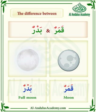 Al-AndalusAcademy.com
The difference between
The difference between
ٌ‫ر‬ْ‫د‬َ‫ب‬ & ٌ‫ر‬َ‫م‬َ‫ق‬
ٌ‫ر‬ْ‫د‬َ‫ب‬
Full moon
ٌ‫ر‬َ‫م‬َ‫ق‬
Moon
 