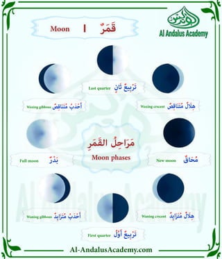 Al-AndalusAcademy.com
ٍ‫ان‬َ‫ث‬ ٌ‫ِيع‬‫ب‬ْ‫ر‬َ‫ت‬
Last quarter
ُ
‫ل‬َّ‫و‬َ‫أ‬ ٌ‫ِيع‬‫ب‬ْ‫ر‬َ‫ت‬
First quarter
ٌ
‫ص‬ِ‫ق‬‫ا‬َ‫ن‬َ‫ت‬ُ‫م‬ ُ‫ب‬َ‫د‬ْ‫ح‬َ‫أ‬
Waxing gibbous ٌ
‫ص‬ِ‫ق‬‫ا‬َ‫ن‬َ‫ت‬ُ‫م‬ ٌ
‫ل‬ َ
‫اَل‬ِ‫ه‬
Waxing crscent
ٌ‫ر‬ْ‫د‬َ‫ب‬
Full moon ٌ
‫اق‬َ‫ح‬ُ‫م‬
New moon
ٌ‫ِد‬‫ي‬‫ا‬َ‫ز‬َ‫ت‬ُ‫م‬ ُ‫ب‬َ‫د‬ْ‫ح‬َ‫أ‬
Waning gibbous ٌ‫ِد‬‫ي‬‫ا‬َ‫ز‬َ‫ت‬ُ‫م‬ ٌ
‫ل‬ َ
‫اَل‬ِ‫ه‬
Waning crscent
Moon phases
Moon phases
ِ‫ر‬َ‫م‬َ‫ق‬‫ال‬ ُ
‫ل‬ِ‫ح‬‫ا‬َ‫ر‬َ‫م‬
ِ‫ر‬َ‫م‬َ‫ق‬‫ال‬ ُ
‫ل‬ِ‫ح‬‫ا‬َ‫ر‬َ‫م‬
|
|
Moon
Moon ٌ‫ر‬َ‫م‬َ‫ق‬
ٌ‫ر‬َ‫م‬َ‫ق‬
 