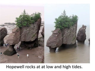 Hopewell rocks at at low and high tides.
 