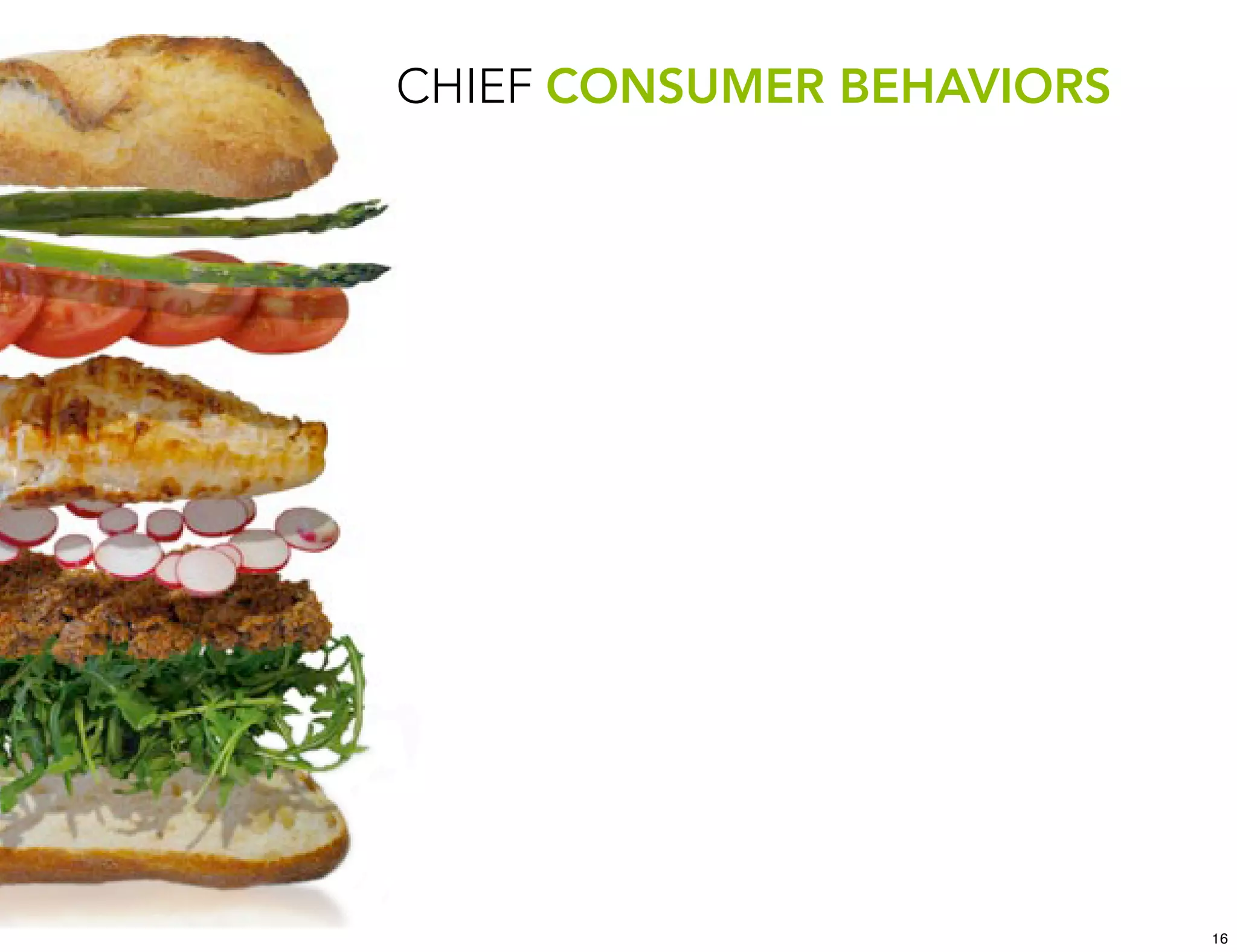 CHIEF CONSUMER BEHAVIORS




                           16
 