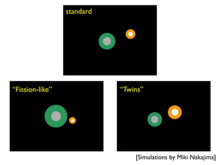 standard
“Fission-like” “Twins”
[Simulations by Miki Nakajima]
 
