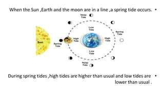 •When the Sun ,Earth and the moon are in a line ,a spring tide occurs.
•During spring tides ,high tides are higher than usual and low tides are
lower than usual .
 