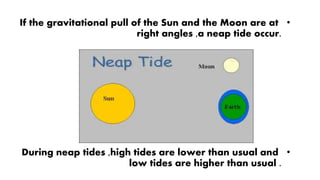 •If the gravitational pull of the Sun and the Moon are at
right angles ,a neap tide occur.
•During neap tides ,high tides are lower than usual and
low tides are higher than usual .
 