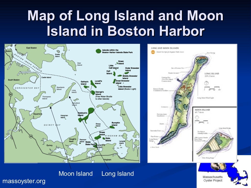 Moon island long island