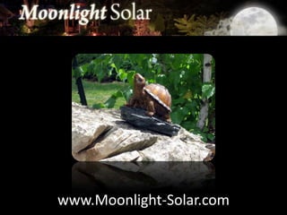 www.Moonlight-Solar.com 