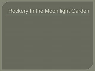 Moon light garden  rockery
