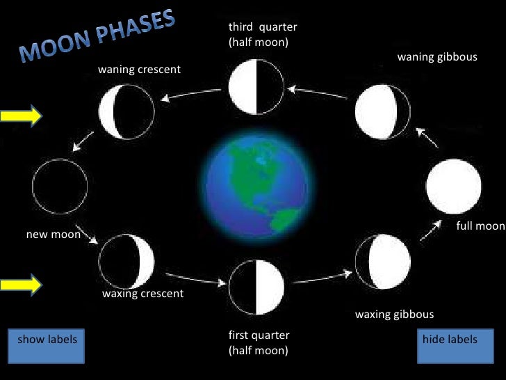 Moon phases labels pp