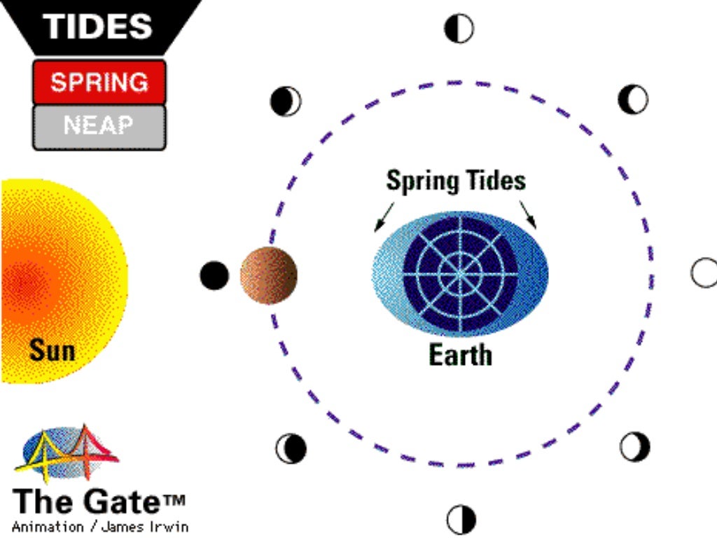 lunar tides black lunar tides black