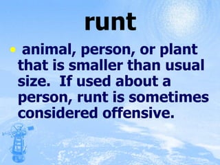 runt animal, person, or plant that is smaller than usual size.  If used about a person, runt is sometimes considered offensive. 