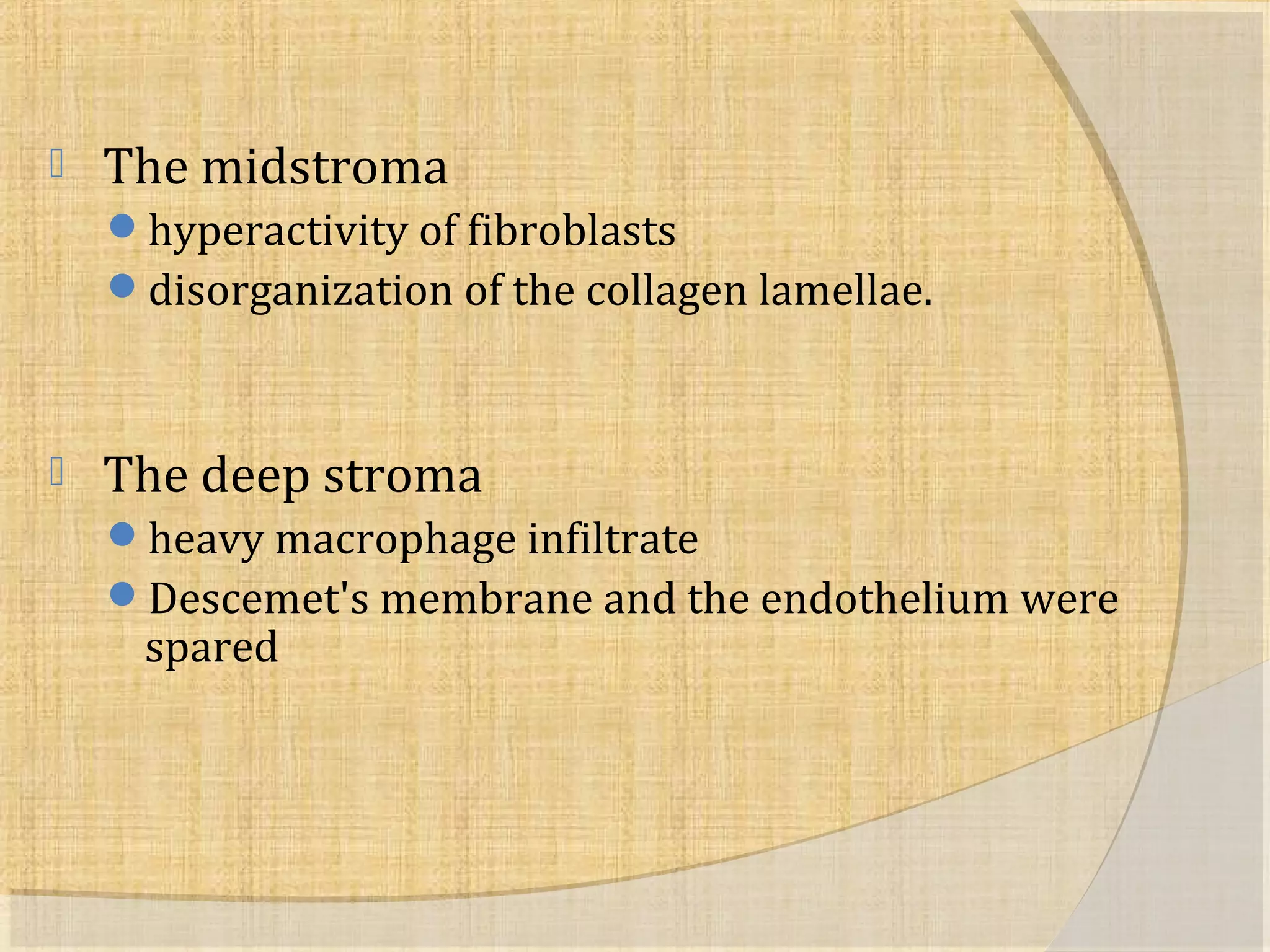  The midstroma 
hyperactivity of fibroblasts 
disorganization of the collagen lamellae. 
 The deep stroma 
heavy macrophage infiltrate 
Descemet's membrane and the endothelium were 
spared 
 