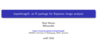 bayesImageS: an R package for Bayesian image analysis
Matt Moores
@MooresMt
https://mooresm.github.io/bayesImageS
NIASRA, University of Wollongong, NSW, Australia
useR! 2018
1 / 22
 