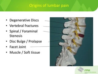 Origins of lumbar pain
• Degenerative Discs
• Vertebral fractures
• Spinal / Foraminal
Stenosis
• Disc Bulge / Prolapse
• Facet Joint
• Muscle / Soft tissue
 