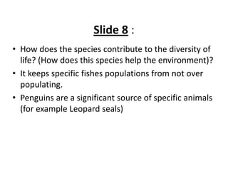 Slide 8 : 
• How does the species contribute to the diversity of 
  life? (How does this species help the environment)?
• It keeps specific fishes populations from not over 
  populating.
• Penguins are a significant source of specific animals 
  (for example Leopard seals)
 